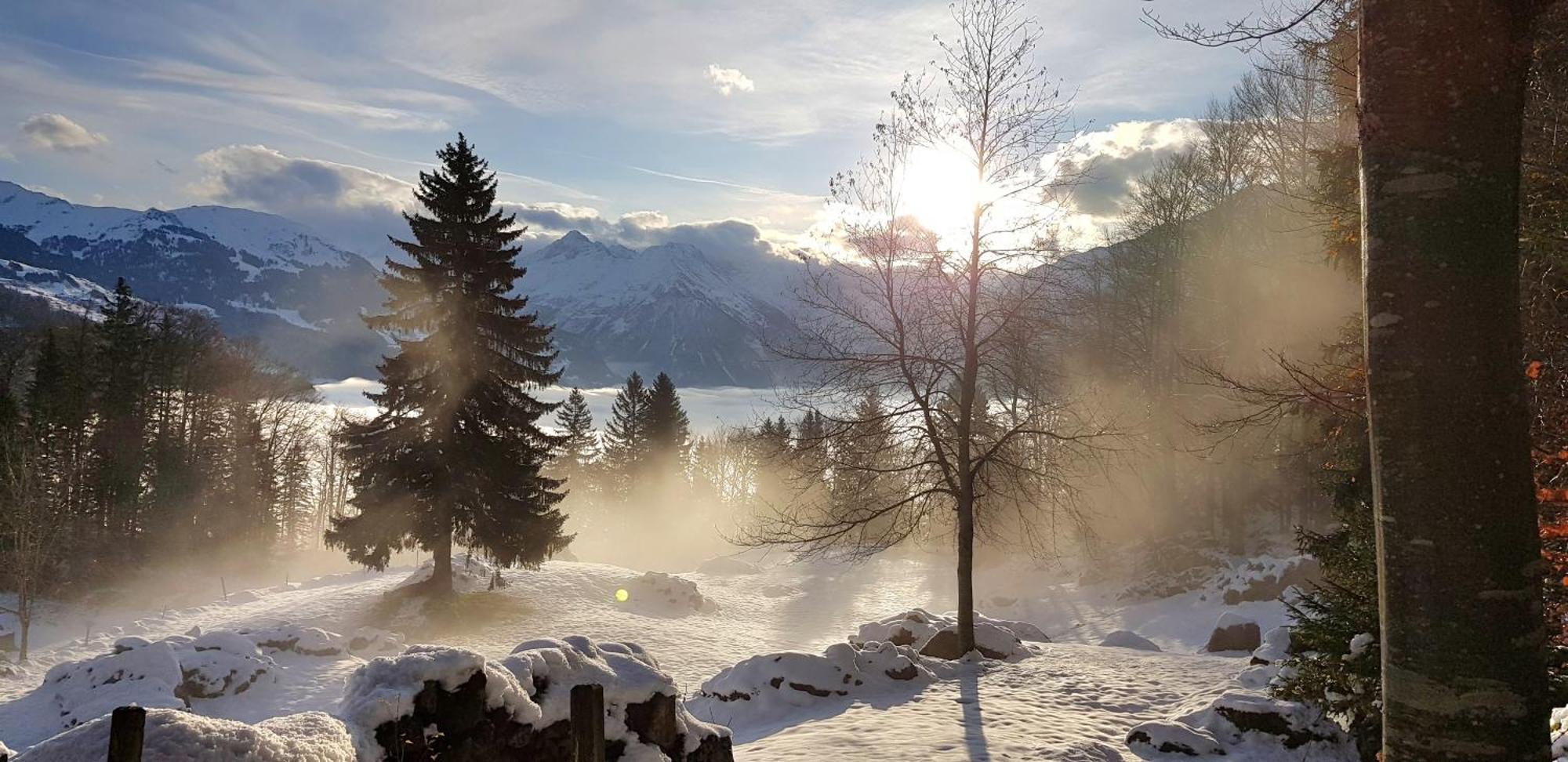 Gemuetliche Fewo Mit Sauna Inmitten Der Berge 迈林根 外观 照片