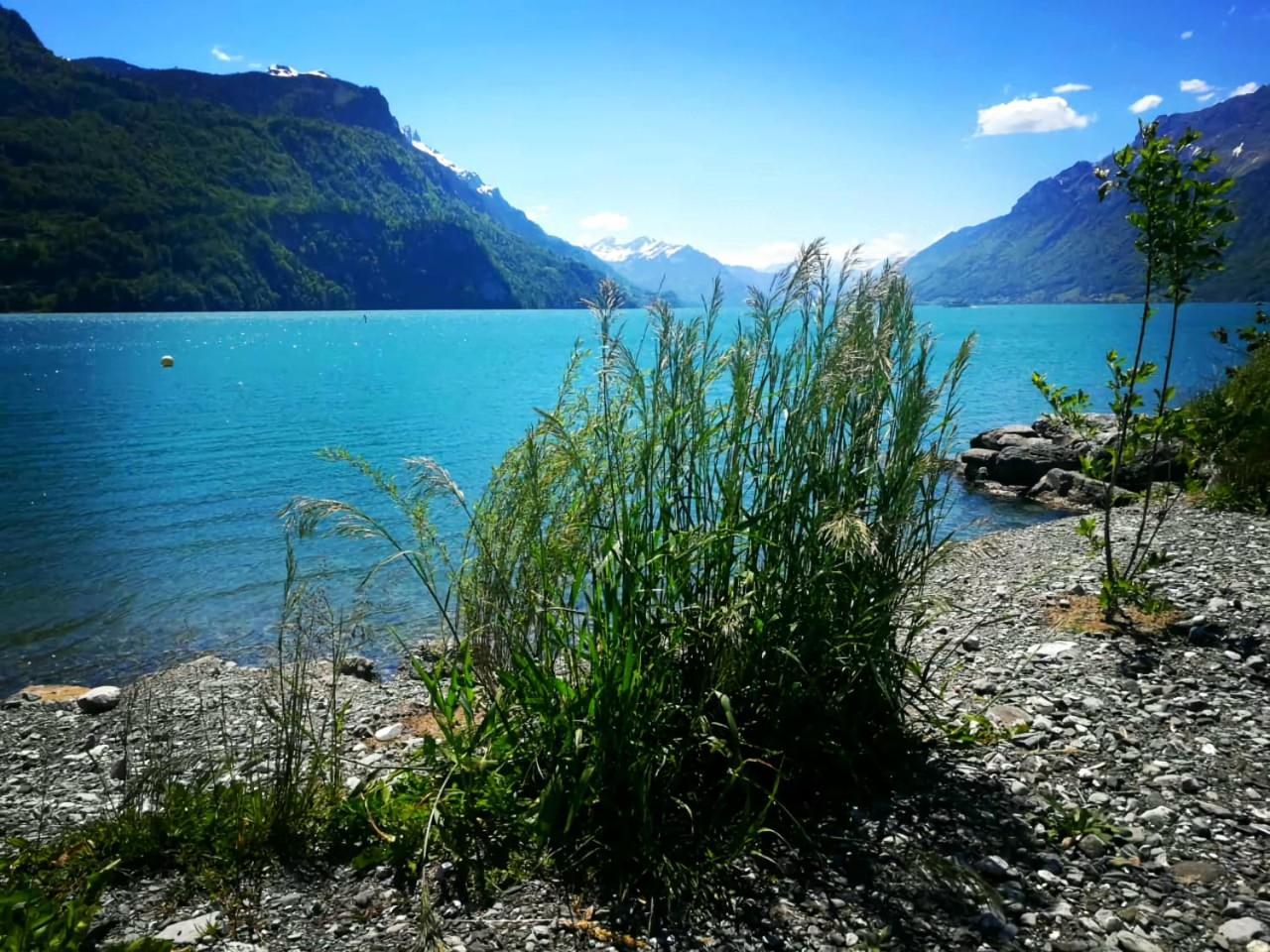 Gemuetliche Fewo Mit Sauna Inmitten Der Berge 迈林根 外观 照片