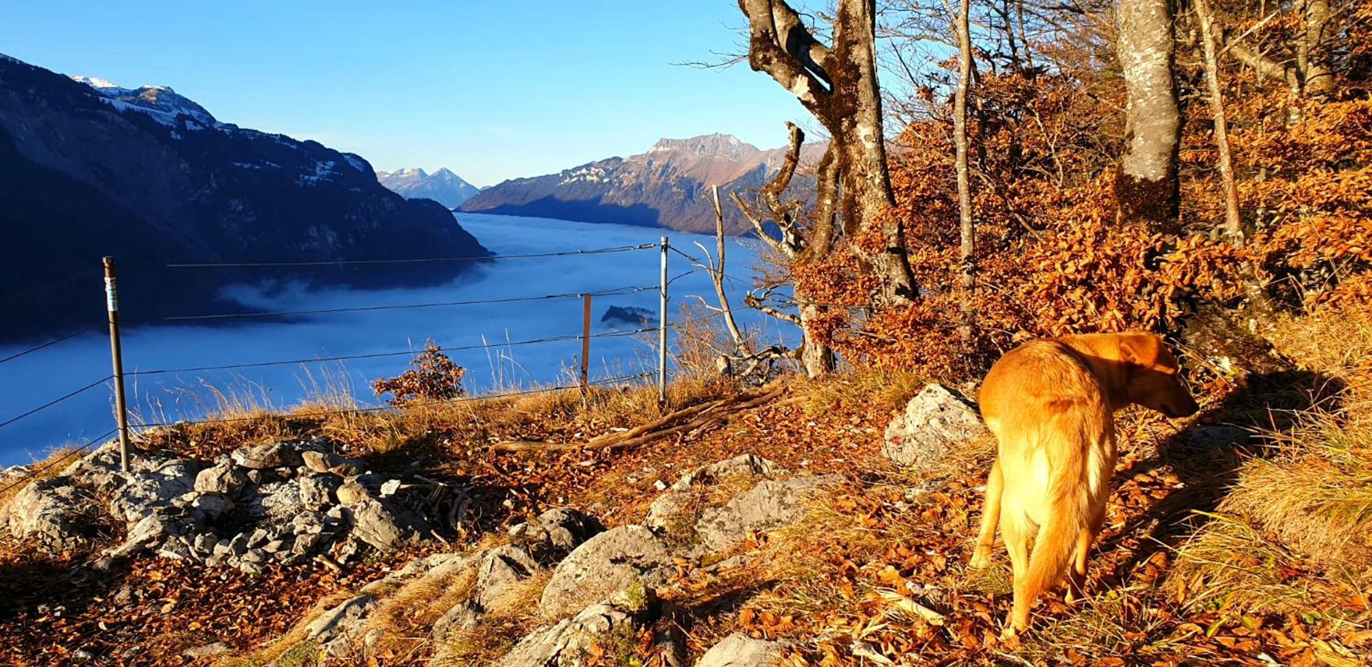 Gemuetliche Fewo Mit Sauna Inmitten Der Berge 迈林根 外观 照片