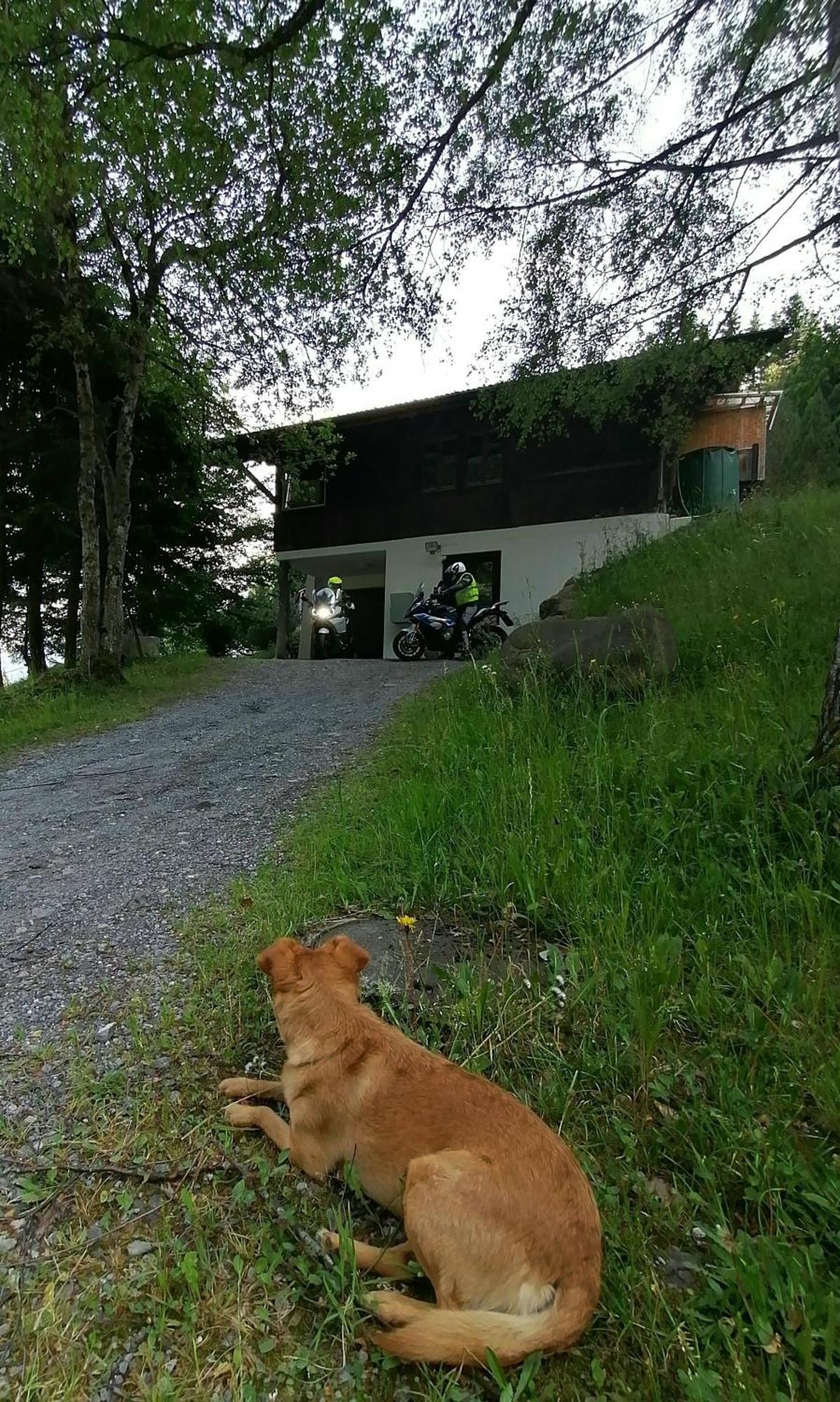 Gemuetliche Fewo Mit Sauna Inmitten Der Berge 迈林根 外观 照片