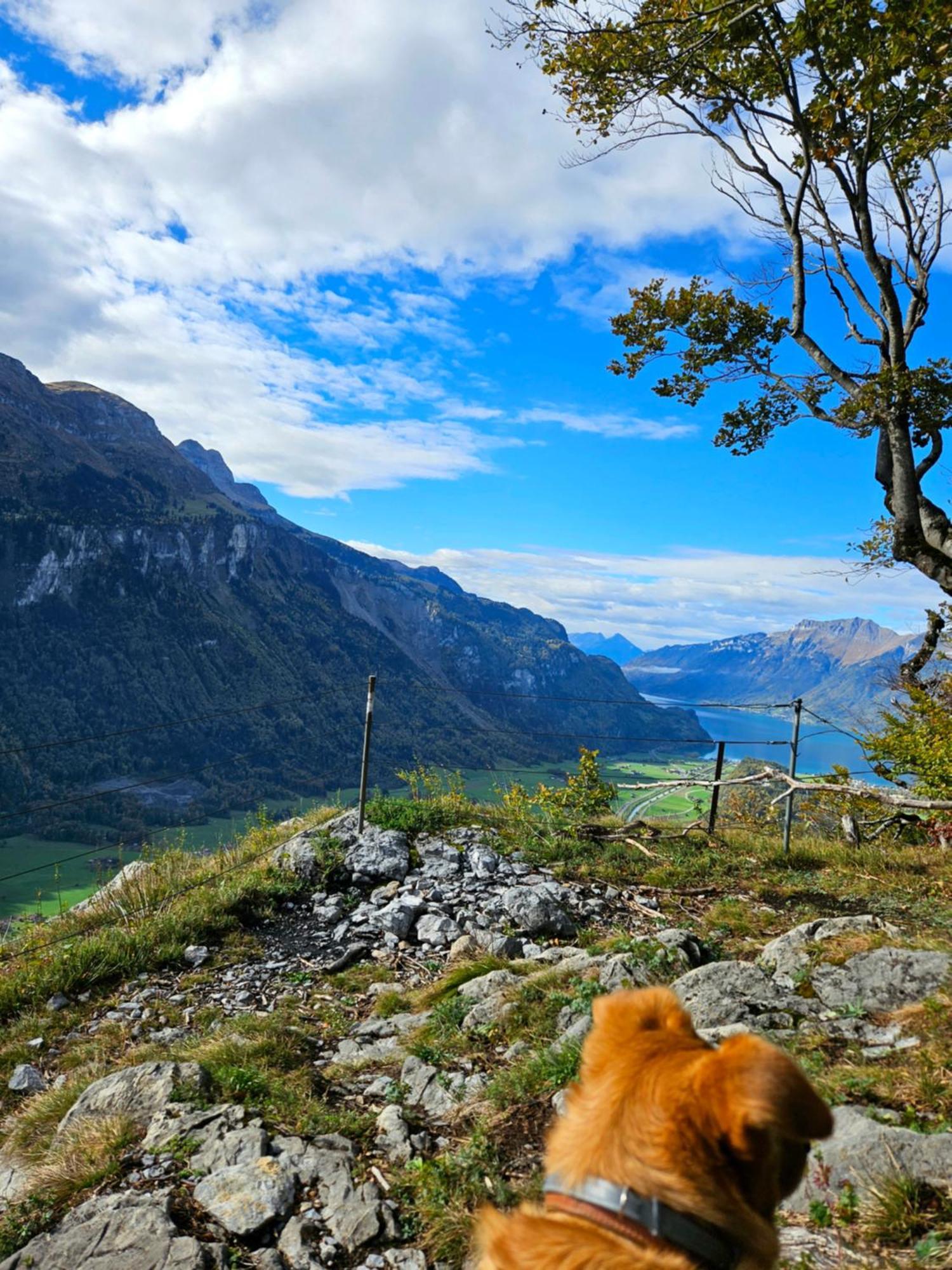 Gemuetliche Fewo Mit Sauna Inmitten Der Berge 迈林根 外观 照片