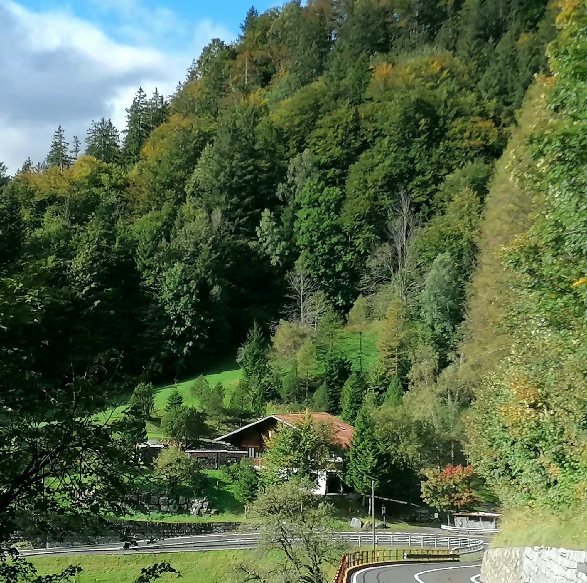 Gemuetliche Fewo Mit Sauna Inmitten Der Berge 迈林根 外观 照片